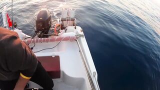 На этом месте у берега легко поймать много рыбы здесь ходит yazılı orkinos