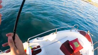 На этом месте у берега легко поймать много рыбы здесь ходит yazılı orkinos