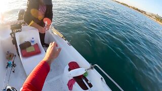 На этом месте у берега легко поймать много рыбы здесь ходит yazılı orkinos