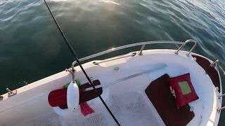 На этом месте у берега легко поймать много рыбы здесь ходит yazılı orkinos