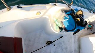 На этом месте у берега легко поймать много рыбы здесь ходит yazılı orkinos