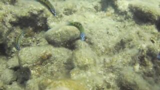 Alanya Okurcalar стенка для рыбалки популярное место для местных и туристов