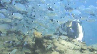 Alanya Okurcalar стенка для рыбалки популярное место для местных и туристов