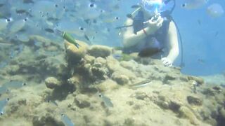 Alanya Okurcalar стенка для рыбалки популярное место для местных и туристов