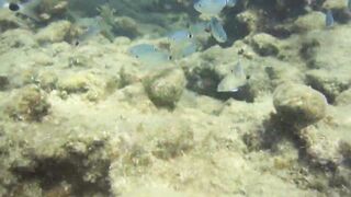 Alanya Okurcalar стенка для рыбалки популярное место для местных и туристов