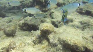 Alanya Okurcalar стенка для рыбалки популярное место для местных и туристов