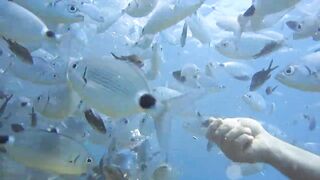 Alanya Okurcalar стенка для рыбалки популярное место для местных и туристов