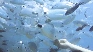 Alanya Okurcalar стенка для рыбалки популярное место для местных и туристов