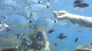 Alanya Okurcalar стенка для рыбалки популярное место для местных и туристов