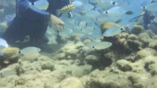 Alanya Okurcalar стенка для рыбалки популярное место для местных и туристов