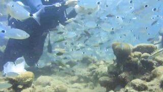 Alanya Okurcalar стенка для рыбалки популярное место для местных и туристов