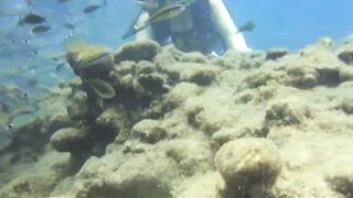 Alanya Okurcalar стенка для рыбалки популярное место для местных и туристов