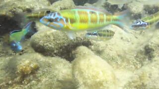 Alanya Okurcalar стенка для рыбалки популярное место для местных и туристов