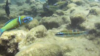 Alanya Okurcalar стенка для рыбалки популярное место для местных и туристов