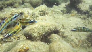 Alanya Okurcalar стенка для рыбалки популярное место для местных и туристов