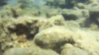 Alanya Okurcalar стенка для рыбалки популярное место для местных и туристов