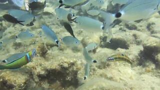 Alanya Okurcalar стенка для рыбалки популярное место для местных и туристов