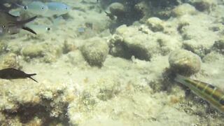 Alanya Okurcalar стенка для рыбалки популярное место для местных и туристов