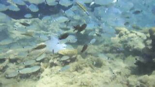 Alanya Okurcalar стенка для рыбалки популярное место для местных и туристов