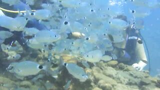 Alanya Okurcalar стенка для рыбалки популярное место для местных и туристов