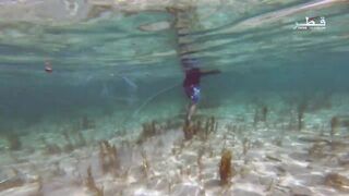 Катар морской выезд: пикник на берегу залива и лёгкая морская рыбалка для всех