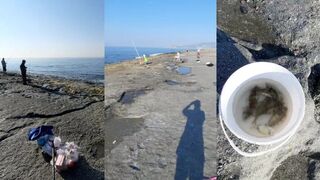 Средиземное море - морская рыбалка в Турции с лодки и с берега на простые снасти