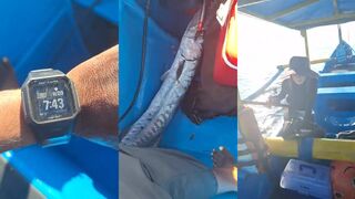 Barracuda и троллинг с лодки - морская рыбалка в открытом море