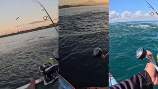 Sanur Bali дикий кастинг по tuna когда море буквально кипит от боилинга и выхода хищника