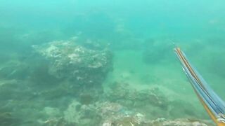 Подводная охота у Sanur морская рыбалка и дайвинг с ружьём по рифовой рыбе