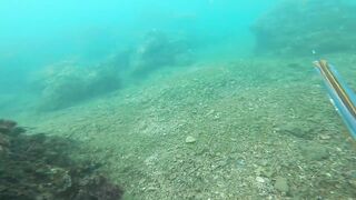 Подводная охота у Sanur морская рыбалка и дайвинг с ружьём по рифовой рыбе