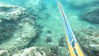 Подводная охота у Sanur морская рыбалка и дайвинг с ружьём по рифовой рыбе