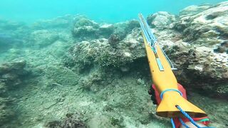 Подводная охота у Sanur морская рыбалка и дайвинг с ружьём по рифовой рыбе
