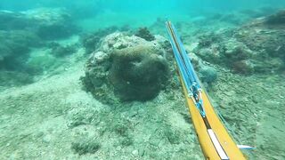 Подводная охота у Sanur морская рыбалка и дайвинг с ружьём по рифовой рыбе