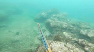 Подводная охота у Sanur морская рыбалка и дайвинг с ружьём по рифовой рыбе