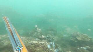 Подводная охота у Sanur морская рыбалка и дайвинг с ружьём по рифовой рыбе