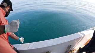 Hadak Oman Shuwaymiah часть 2 морская рыбалка на скалистом побережье Аравийского моря