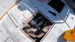 Hadak Oman Shuwaymiah часть 2 морская рыбалка на скалистом побережье Аравийского моря