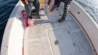 Hadak Oman Shuwaymiah часть 2 морская рыбалка на скалистом побережье Аравийского моря