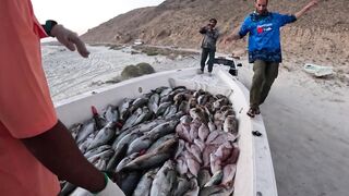 Hadak Oman Shuwaymiah часть 2 морская рыбалка на скалистом побережье Аравийского моря