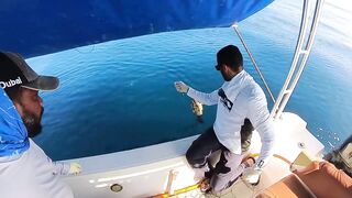 Hadak Oman Shuwaymiah часть 2 морская рыбалка на скалистом побережье Аравийского моря