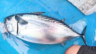 Шестичасовой fishing charter у Sanur Bali троллинг и донная рыбалка с лодки