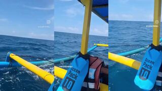 Морская рыбалка в Сануре Бали сегодняшний trevally и отпускной улов