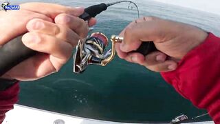 Рыбалка на юге Катара лодка пустыня и Персидский залив когда вокруг только море и песок