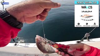 Рыбалка на юге Катара лодка пустыня и Персидский залив когда вокруг только море и песок