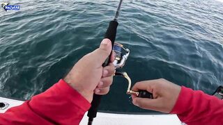 Рыбалка на юге Катара лодка пустыня и Персидский залив когда вокруг только море и песок