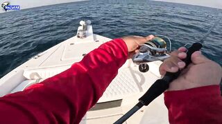 Рыбалка на юге Катара лодка пустыня и Персидский залив когда вокруг только море и песок