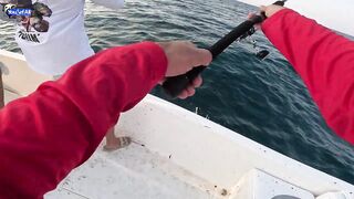 Рыбалка на юге Катара лодка пустыня и Персидский залив когда вокруг только море и песок