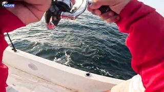 Рыбалка на юге Катара лодка пустыня и Персидский залив когда вокруг только море и песок