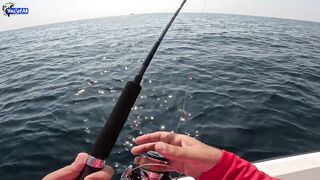 Рыбалка на юге Катара лодка пустыня и Персидский залив когда вокруг только море и песок