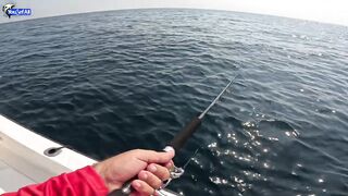 Рыбалка на юге Катара лодка пустыня и Персидский залив когда вокруг только море и песок